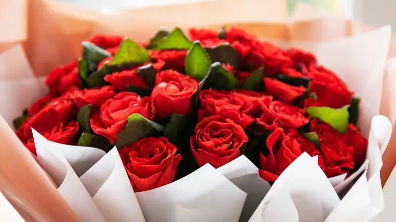 Sant Jordi Rosas